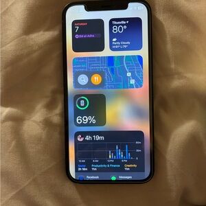 Apple Black Smartphone with Advanced Data Visualization